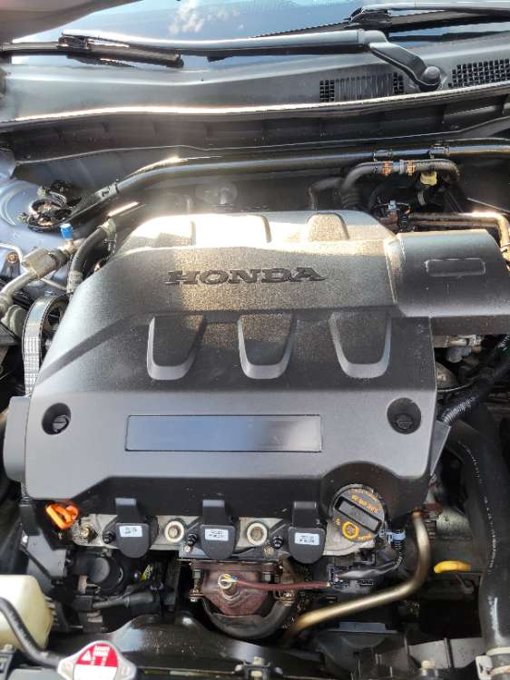 Honda Accord 2010 Light Blue