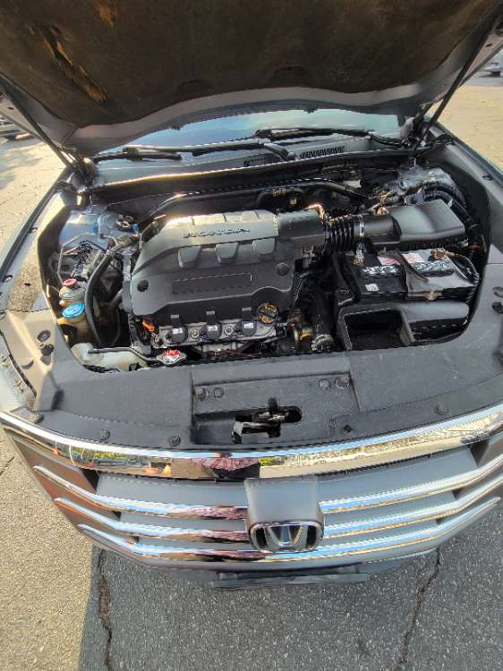 Honda Accord 2010 Light Blue